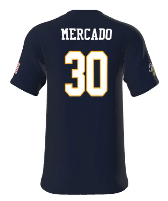 Palmetto Lions Adult V-Neck Jersey- Navy