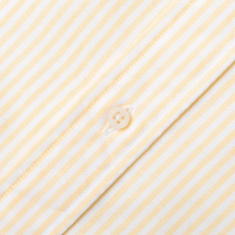 Yellow Stripe Spring Oxford
